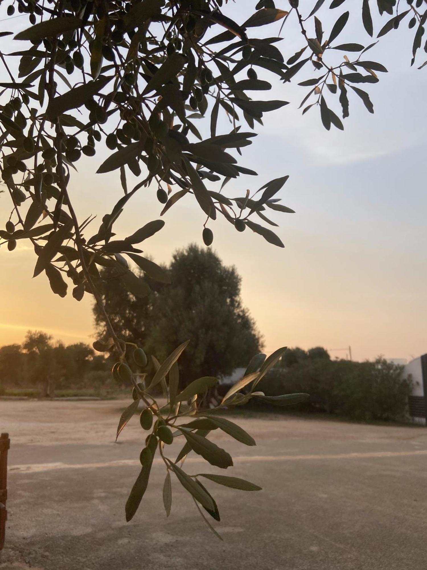 Masseria Conca D'Oro Ostuni Exterior photo